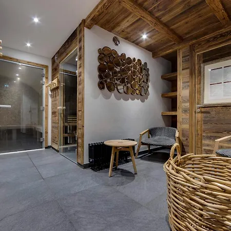 Daire Duplex Au Pied Des Pistes Avec Espace Bien-etre Et Piscine, Les Arcs 1950 - Fr-1-686-28